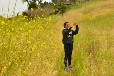 DSC_6517 (Large).JPG